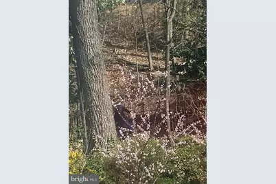 3017 Cleveland Avenue NW, Washington, DC 20008 - Photo 34