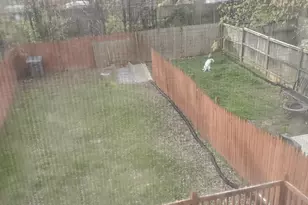 4927 Just St NE, Washington, DC 20019 - Photo 22