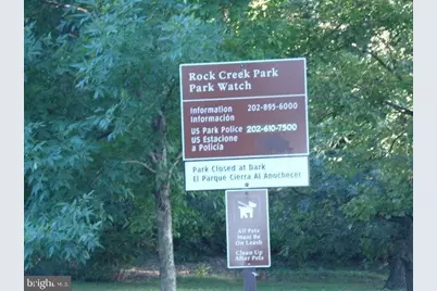 509 Peabody Street NW #3, Washington, DC 20011 - Photo 14