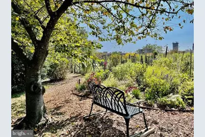 3871 Porter Street NW #E293, Washington, DC 20016 - Photo 38