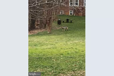 3871 Porter Street NW #E293, Washington, DC 20016 - Photo 32