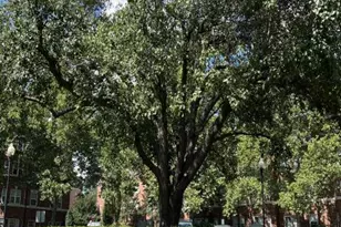 3401 38th Street NW, Washington, DC 20016 - Photo 16