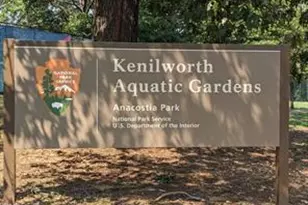 5220 Blaine St NE, Washington, DC 20019 - Photo 44