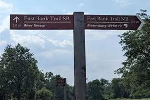 5220 Blaine St NE, Washington, DC 20019 - Photo 58