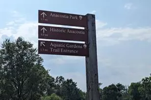 5220 Blaine St NE, Washington, DC 20019 - Photo 48