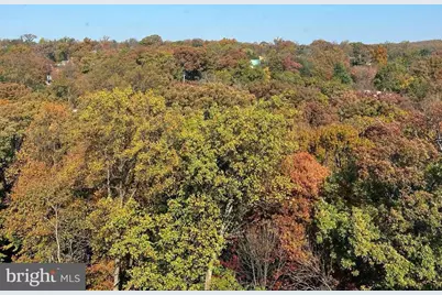 2939 Van Ness Street NW #1212, Washington, DC 20008 - Photo 2