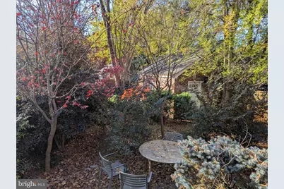 4428 Butterworth Place NW, Washington, DC 20016 - Photo 28