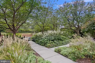 4135 Yuma St NW, Washington, DC 20016 - Photo 4