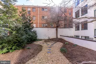 955 NW 26th Street NW, Washington, DC 20037 - Photo 138