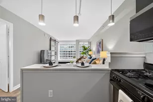 1101 3rd St SW, Washington, DC 20024 - Photo 12