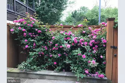 2442 20th Street NW #B, Washington, DC 20009 - Photo 14