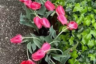 237 10th St SE, Washington, DC 20003 - Photo 4