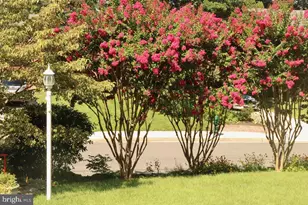 7041 31st St NW, Washington, DC 20015 - Photo 38