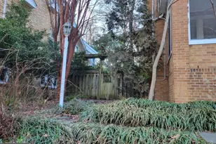 1418 44th St NW, Washington, DC 20007 - Photo 14