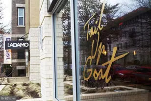 2801 Adams Mill Rd NW, Washington, DC 20009 - Photo 22