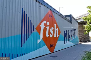 345 O St SW, Washington, DC 20024 - Photo 60