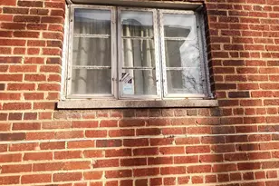 38 Sheridan St NE, Washington, DC 20011 - Photo 34