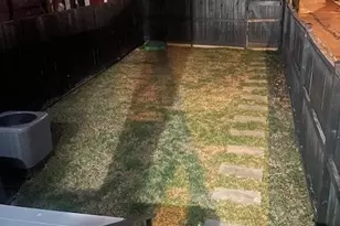 724 NW Taylor Street NW, Washington, DC 20011 - Photo 4