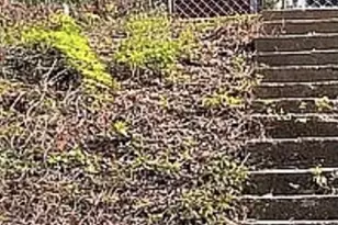 1165 Neal NE, Washington, DC 20002 - Photo 2