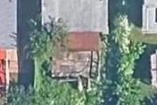 2017 Perry St NE, Washington, DC 20018 - Photo 2