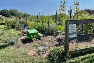 3770 39th St NW, Washington, DC 20016 - Photo 30