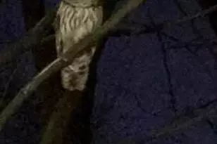 3770 39th St NW, Washington, DC 20016 - Photo 22