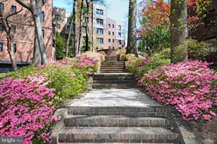 3000 Tilden St NW, Washington, DC 20008 - Photo 38