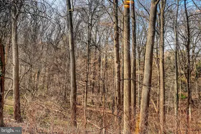 3630 39th Street NW #B530, Washington, DC 20016 - Photo 12