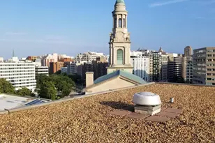 1420 N N Street NW, Washington, DC 20005 - Photo 12