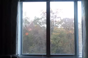 2939 Van Ness St NW, Washington, DC 20008 - Photo 12