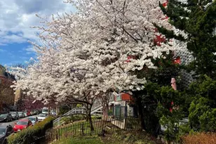 1439 Chapin St NW, Washington, DC 20009 - Photo 30