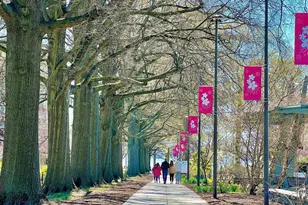 1245 4th St SW, Washington, DC 20024 - Photo 34