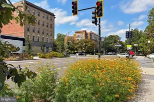 3600 Connecticut Ave NW, Washington, DC 20008 - Photo 30
