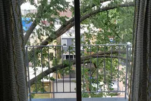 1503 Swann St NW, Washington, DC 20009 - Photo 8