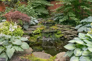 5025 Linnean Ave NW, Washington, DC 20008 - Photo 40