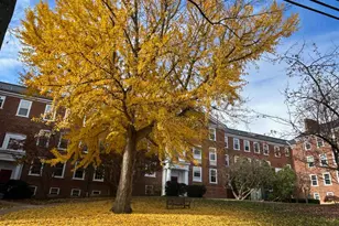 3541 39th St NW, Washington, DC 20016 - Photo 22