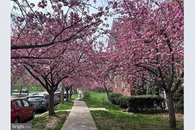 3541 39th Street NW #C507, Washington, DC 20016 - Photo 1