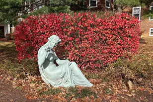 3541 39th St NW, Washington, DC 20016 - Photo 24