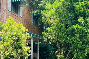 4901 Fitch Pl NE, Washington, DC 20019 - Photo 18