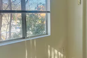 4901 Fitch Pl NE, Washington, DC 20019 - Photo 10