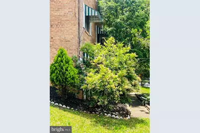 4901 Fitch Place NE, Washington, DC 20019 - Photo 10