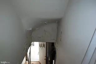 205 Oglethorpe St NW, Washington, DC 20011 - Photo 22