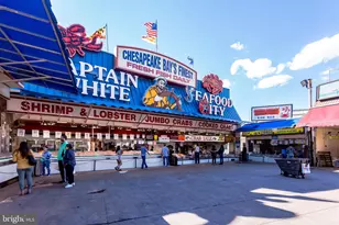 1101 3rd St SW, Washington, DC 20024 - Photo 38