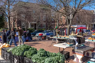 1613 Harvard Street NW #105, Washington, DC 20009 - Photo 30