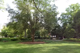 4600 Connecticut Ave NW, Washington, DC 20008 - Photo 44