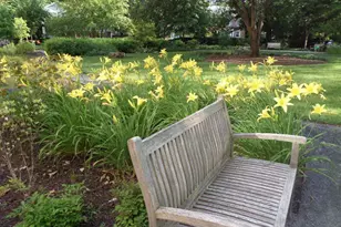 4600 Connecticut Ave NW, Washington, DC 20008 - Photo 46
