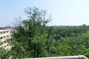 4600 Connecticut Ave NW, Washington, DC 20008 - Photo 30