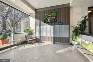 2325 42nd St NW, Washington, DC 20007 - Photo 4