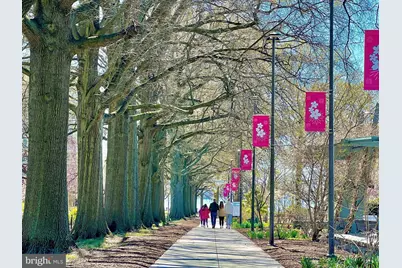 430 M Street SW #N502, Washington, DC 20024 - Photo 18