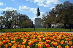 1140 23rd NW, Washington, DC 20037 - Photo 20